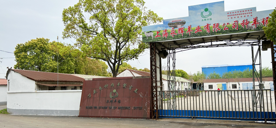 新業(yè)A+PLUS實(shí)景