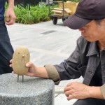 每一隻鳥兒都有著獨(dú)特的姿態(tài)和表情，彷彿在述說著它們自身的旅程與故事。