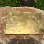 鐵樹與貓，樹屋與鳥，彼此共鳴出有溫度的故事，在此地生根萌芽。