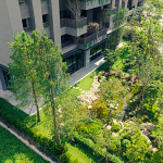 南側(cè)景觀-俯瞰