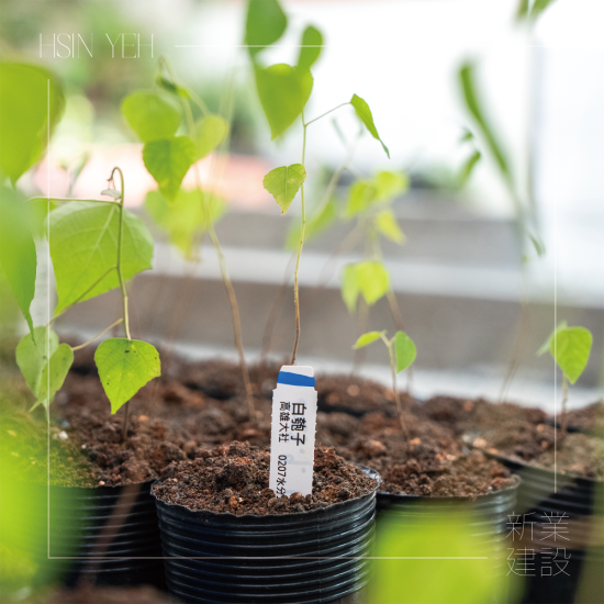 『臺(tái)灣山林復(fù)育協(xié)會(huì)』，核心目的是推動(dòng)本土的生態(tài)教育，進(jìn)行自然棲地的保護(hù)，在地種源的復(fù)育，及推動(dòng)廢耕山坡地順應(yīng)演替復(fù)育為自然森林的工作。