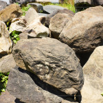 每一顆石頭背後乘載無盡的歲月，塵土與大地的繾綣，風吹水流，留下獨特紋理、歷史刻痕，堅毅的外殼更富含著溫柔的故事。