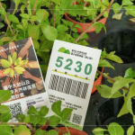 當(dāng)天新業(yè)夥伴們不只身體力行的為苗木進(jìn)行換盆作業(yè)，也捐出發(fā)票，為臺(tái)灣淺山森林再出一份力，也邀請(qǐng)更多的人共同關(guān)注 ＃我愛山林_5230。