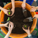 復(fù)育森林，並非將樹種滿，而是選擇適地適種的原生種，透過 ＃樹苗培育，達(dá)到生態(tài)平衡，維持生物多樣性。