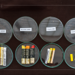 除了油畫棒，講師當(dāng)天還攜帶了其他的創(chuàng)作媒材，並分享各款媒材的成分差異與使用差異，讓創(chuàng)作者日後更能輕易分辨媒材。