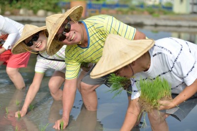 新業(yè)，一畝田插秧體驗(yàn)日